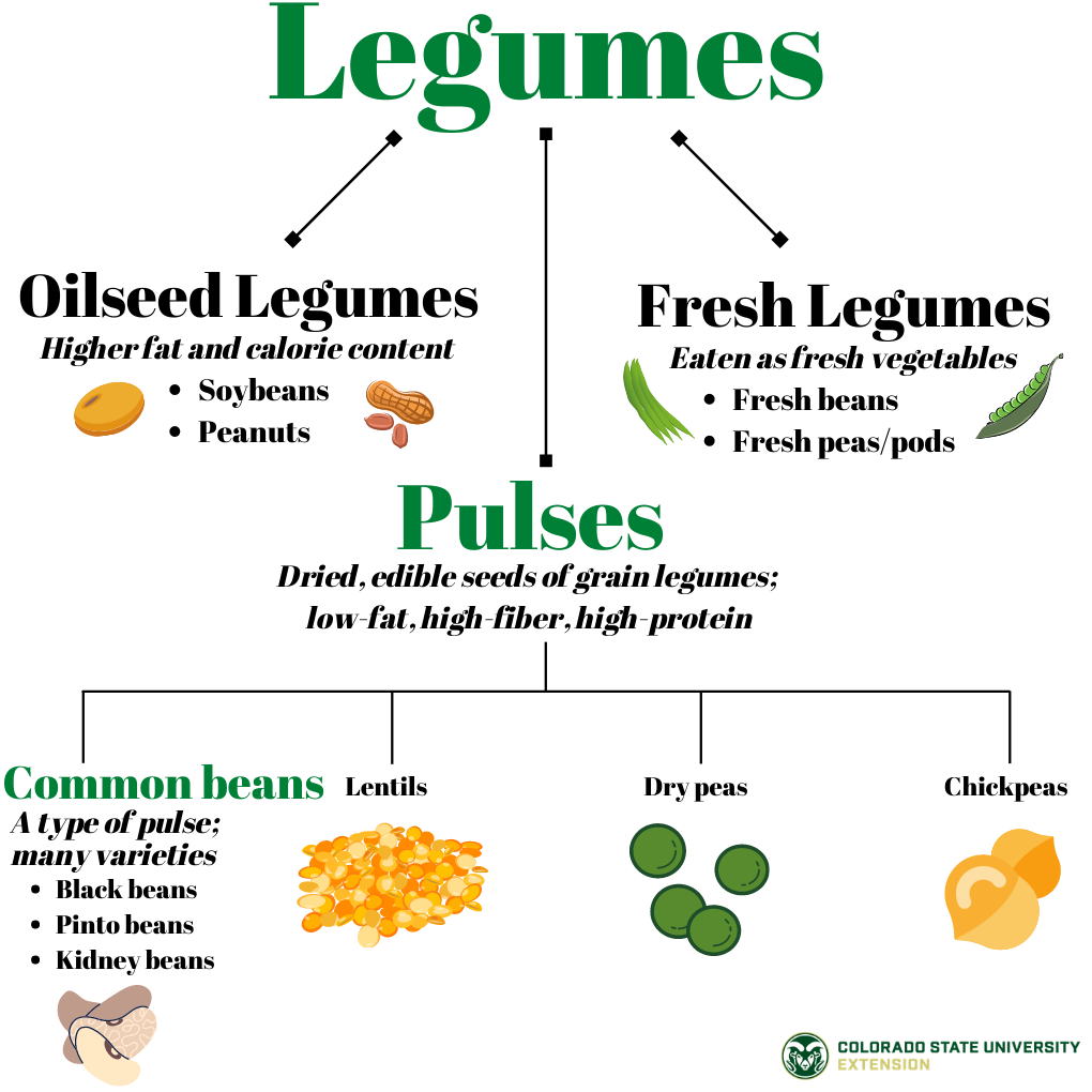 Differences between Legumes-Pulses-Beans