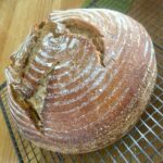 no knead sourdough bread making