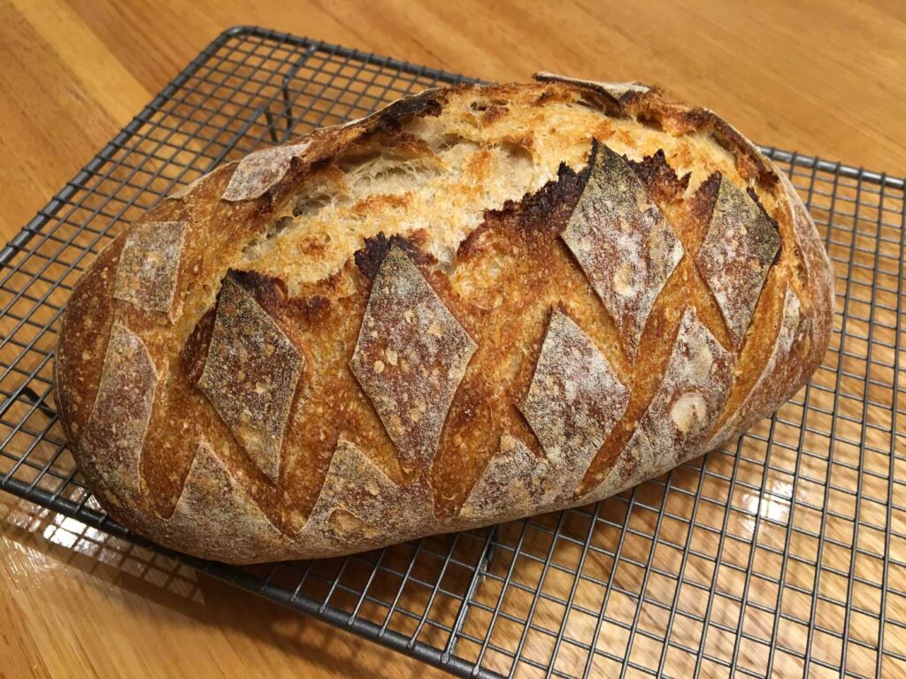 no knead sourdough bread making