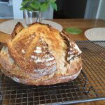no knead sourdough bread making